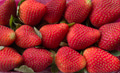 Strawberries (Fragaria), natural background Strawberries (Fragaria), natural background - PhotoDune Item for Sale