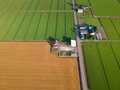 Aerial green wheat field. Aerial view large green field. Aerial green wheat field. Aerial view large green field. - PhotoDune Item for Sale