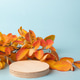 Autumn podium made of natural wood and autumn orange leaves on a blue background. Autumn podium made of natural wood and autumn orange leaves on a blue background. - PhotoDune Item for Sale