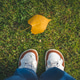 Shoes in green grass with one yellow autumn leaf Shoes in green grass with one yellow autumn leaf - PhotoDune Item for Sale
