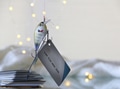 Phishing scam Identity thefts for fraudulent purposes increases during holidays stealing user data Phishing scam Identity thefts for fraudulent purposes increases during holidays stealing user data - PhotoDune Item for Sale