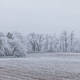 Winter landscape background Winter landscape background - PhotoDune Item for Sale