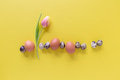 Easter greeting card template with eggs and tulip flower on yellow background Easter greeting card template with eggs and tulip flower on yellow background - PhotoDune Item for Sale