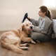 Young Girl Dries Golden Retriever With Hair Dryer at Home Young Girl Dries Golden Retriever With Hair Dryer at Home - PhotoDune Item for Sale