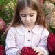 Little Girl in Vintage Pink Dress Enjoys the Beauty of Hydrangeas in a Garden. Moment of Serene Joy. Little Girl in Vintage Pink Dress Enjoys the Beauty of Hydrangeas in a Garden. Moment of Serene Joy. - PhotoDune Item for Sale