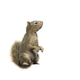 Squirrel with fluffy Fur in standing or jump pose isolated on White Background with Clipping Path. Squirrel with fluffy Fur in standing or jump pose isolated on White Background with Clipping Path. - PhotoDune Item for Sale