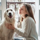 Woman petting golden retriever dog by window Woman petting golden retriever dog by window - PhotoDune Item for Sale