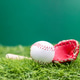 Baseball is on green grass Baseball is on green grass - PhotoDune Item for Sale
