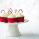 Christmas cupcakes decorated with candy canes Christmas cupcakes decorated with candy canes - PhotoDune Item for Sale