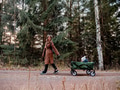 woman with a child in a wagon walking down in the forest woman with a child in a wagon walking down in the forest - PhotoDune Item for Sale