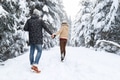 Young Couple Walking In Snow Forest Outdoor Man And Woman Holding Hands Back View Young Couple Walking In Snow Forest Outdoor Man And Woman Holding Hands Back View - PhotoDune Item for Sale