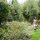 Woman walking in blooming garden with watering can, countryside lifestyle Woman walking in blooming garden with watering can, countryside lifestyle - PhotoDune Item for Sale