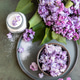 Flavored sugar with lilac flowers in glass jar and branch of beautiful lilac Flavored sugar with lilac flowers in glass jar and branch of beautiful lilac - PhotoDune Item for Sale