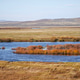 Wetland grassland in autumn Wetland grassland in autumn - PhotoDune Item for Sale