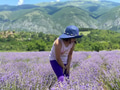 A teenage girl with hat in a lavender field A teenage girl with hat in a lavender field - PhotoDune Item for Sale