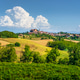 Montemagno Monferrato Village and Summer Agricultural Fields, Piedmont, Italy Montemagno Monferrato Village and Summer Agricultural Fields, Piedmont, Italy - PhotoDune Item for Sale