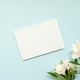 Blank card on light blue background with white flowers Blank card on light blue background with white flowers - PhotoDune Item for Sale