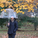 Autumn rain Autumn rain - PhotoDune Item for Sale