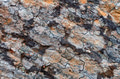 Gray rock surface with colorful lichens for background or texture Gray rock surface with colorful lichens for background or texture - PhotoDune Item for Sale