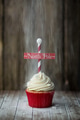 North Pole cupcake North Pole cupcake - PhotoDune Item for Sale