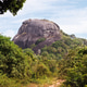 Big black rock in between green vegetation at midday and nobody around on the island Belitung Big black rock in between green vegetation at midday and nobody around on the island Belitung - PhotoDune Item for Sale