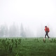 A lone hiker in an orange backpack walks through a misty green field. The background features tall, A lone hiker in an orange backpack walks through a misty green field. The background features tall, - PhotoDune Item for Sale