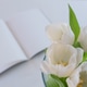 Top view of a bouquet of flowers with beautiful, fresh white spring tulips and a book Top view of a bouquet of flowers with beautiful, fresh white spring tulips and a book - PhotoDune Item for Sale