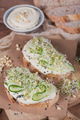 Healthy Vegetarian Bruschettas with Micro Greens, Hummus, Cucumbers and Pine Nuts Healthy Vegetarian Bruschettas with Micro Greens, Hummus, Cucumbers and Pine Nuts - PhotoDune Item for Sale