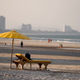 Yellow Umbrella Relax on Hua Hin Beach Yellow Umbrella Relax on Hua Hin Beach - PhotoDune Item for Sale
