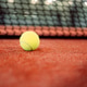 Padel ball resting on red court surface Padel ball resting on red court surface - PhotoDune Item for Sale