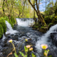 River Cascades and Small Waterfall at Levada dos Jugueiros in Portugal River Cascades and Small Waterfall at Levada dos Jugueiros in Portugal - PhotoDune Item for Sale