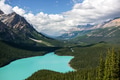 Beautiful Peyto Lake, Banff National Park, Alberta, Canada Beautiful Peyto Lake, Banff National Park, Alberta, Canada - PhotoDune Item for Sale