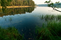 Landscape with a forest lake in summer Landscape with a forest lake in summer - PhotoDune Item for Sale