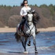 Horse woman and Spanish horse speed running Horse woman and Spanish horse speed running - PhotoDune Item for Sale