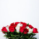 A bouquet of many two color fresh roses isolated on white background. A bouquet of many two color fresh roses isolated on white background. - PhotoDune Item for Sale