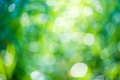 Green bokeh natural background Green bokeh natural background - PhotoDune Item for Sale