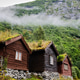 Norwegian houses made of wood, stand on stones. Grass on roof. Traditional village on Lovatnet lake Norwegian houses made of wood, stand on stones. Grass on roof. Traditional village on Lovatnet lake - PhotoDune Item for Sale