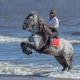 Rearing Andalusian dapple gray stallion and woman on beach. Rearing Andalusian dapple gray stallion and woman on beach. - PhotoDune Item for Sale