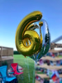 Baby boomer Sixty birthday party celebration with a 60 gold & silver balloons & lots of outdoor fun Baby boomer Sixty birthday party celebration with a 60 gold & silver balloons & lots of outdoor fun - PhotoDune Item for Sale