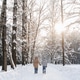 Walking mother with teen son on snowy forest path, tall trees, bright sun, quiet winter landscape Walking mother with teen son on snowy forest path, tall trees, bright sun, quiet winter landscape - PhotoDune Item for Sale