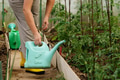 Mature woman with watering can gardening in greenhouse at home - shot in slow motion Mature woman with watering can gardening in greenhouse at home - shot in slow motion - PhotoDune Item for Sale