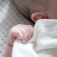 newborn hand newborn hand - PhotoDune Item for Sale