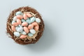 Easter colorful chocolate eggs in decorative nest. Easter colorful chocolate eggs in decorative nest. - PhotoDune Item for Sale