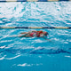 Little girl in red swimsuit swimming on competition in blue swimming pool Little girl in red swimsuit swimming on competition in blue swimming pool - PhotoDune Item for Sale