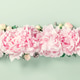 Row of Pink Peonies on Soft Green Background Row of Pink Peonies on Soft Green Background - PhotoDune Item for Sale