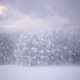Quiet Winter Meadow With Soft Fog And Frosted Trees Under Pale Sky Quiet Winter Meadow With Soft Fog And Frosted Trees Under Pale Sky - PhotoDune Item for Sale