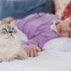 Calm Cat Resting on Bed While Woman Sleeps at Home Calm Cat Resting on Bed While Woman Sleeps at Home - PhotoDune Item for Sale