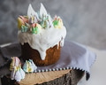 Easter Cakes - Traditional Kulich, Paska Easter Bread. Traditional Easter spring Easter Cakes - Traditional Kulich, Paska Easter Bread. Traditional Easter spring - PhotoDune Item for Sale