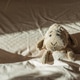 Knitted Sheep Toy Sleeping on Cozy Bed under Morning Sunlight Knitted Sheep Toy Sleeping on Cozy Bed under Morning Sunlight - PhotoDune Item for Sale