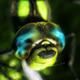 Dragonfly. Green. Macro Dragonfly. Green. Macro - PhotoDune Item for Sale